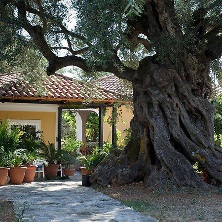 Villa Christina Zakynthos Exterior photo