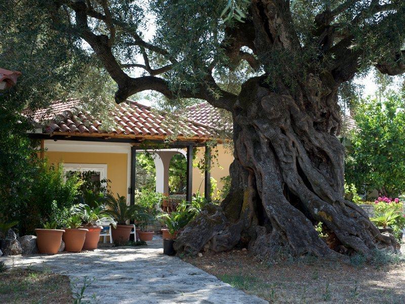 Villa Christina Zakynthos Exterior photo